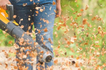 Tips voor tuinonderhoud in het najaar