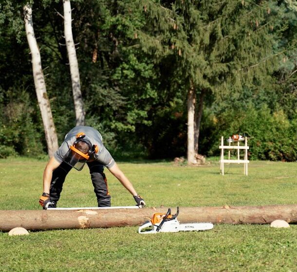 Hoe zaag je je eigen haardhout?