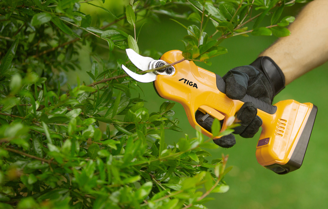 Takkenzagen, snoei- en tuinscharen